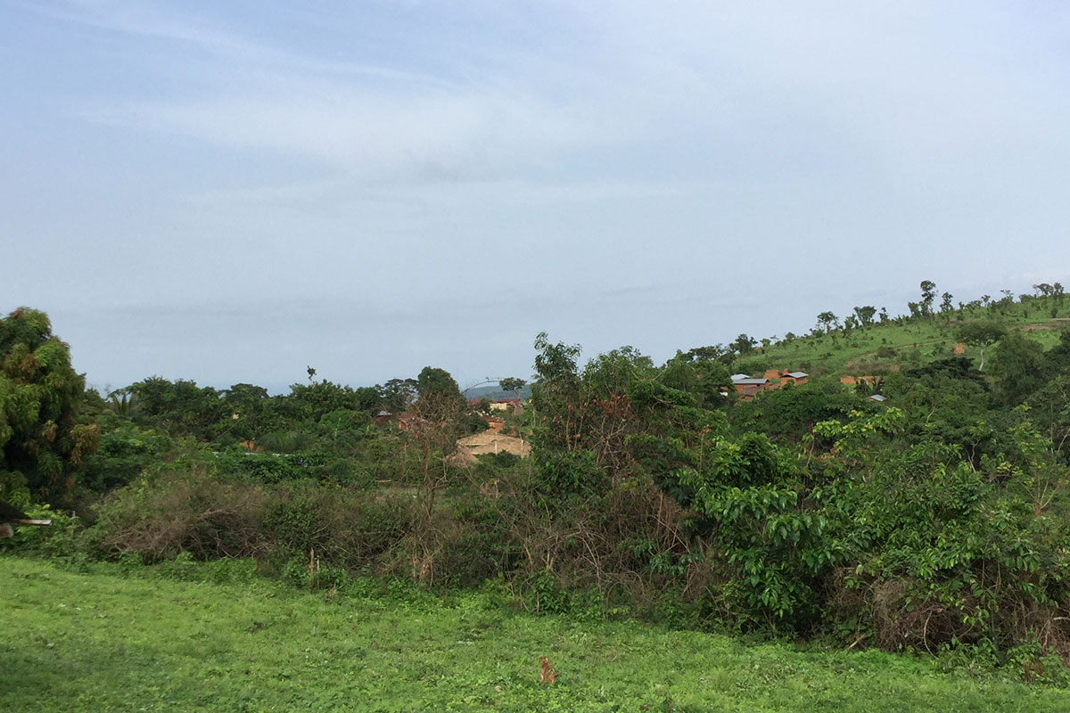 Rundreise durch Togo - Station Illico