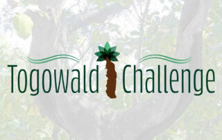 Togowald-Challenge